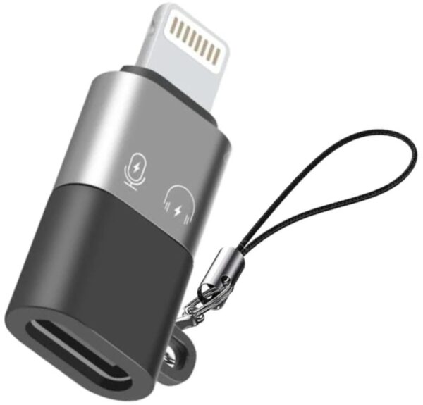UBRONIK Grey Male Lightning Adapter Connector OTG iPhone Type C Female to Phone Converter (IOS)